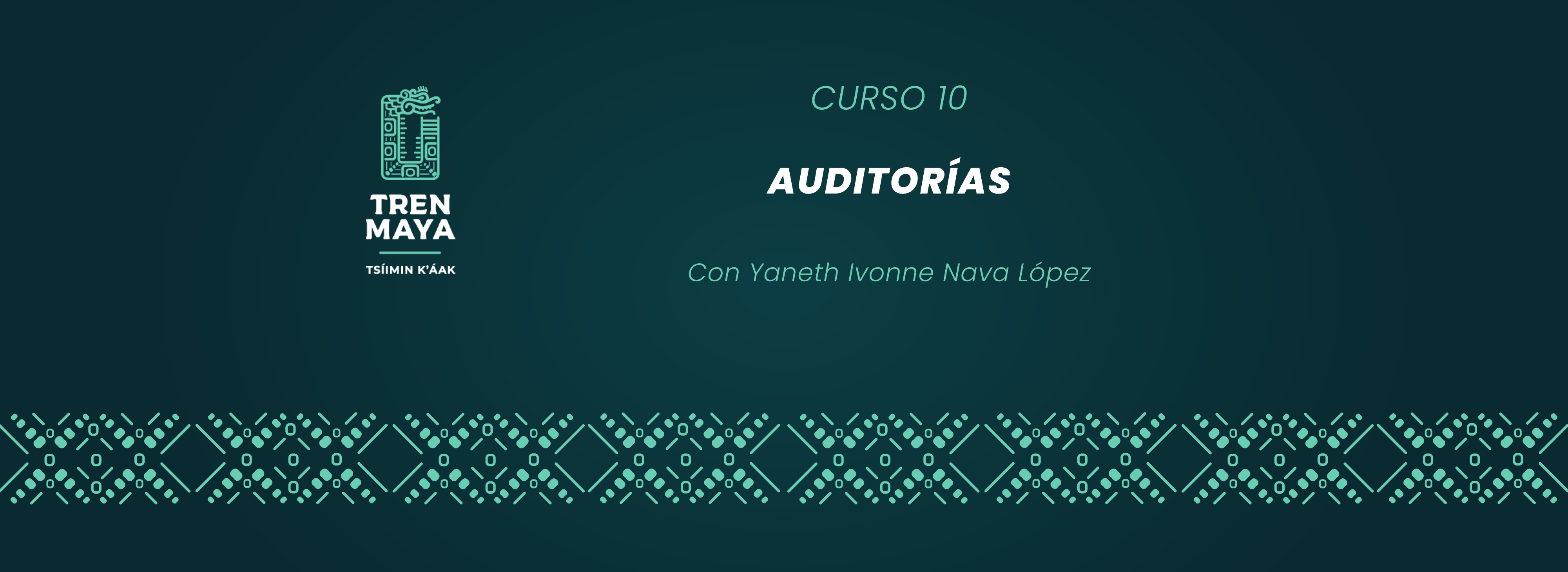 Curso 10 - Auditorias